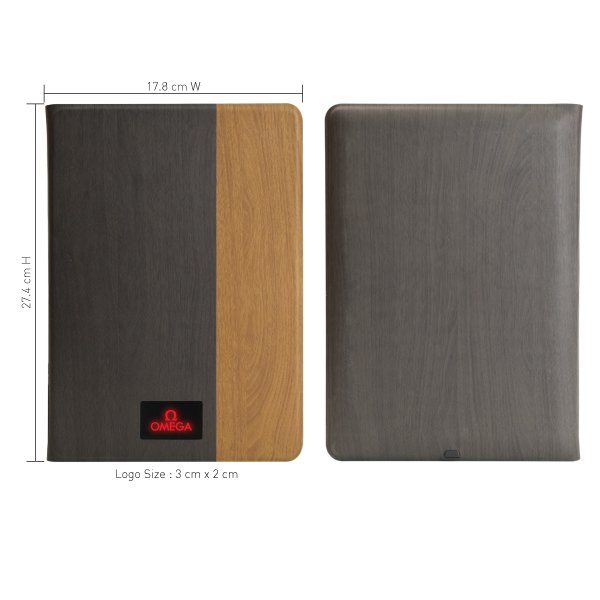 AO 29 PORTFOLIO OFFICE & BUSINESS LIGHT UP LOGO