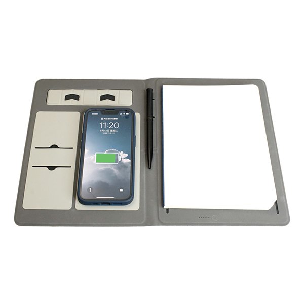 AO 29 PORTFOLIO OFFICE & BUSINESS LIGHT UP LOGO